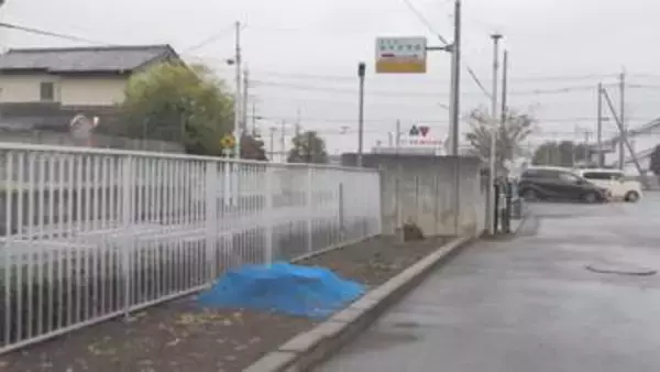 「群馬県内各地で桜見頃も　桐生市の中学校では入学シーズン前に異変」の画像