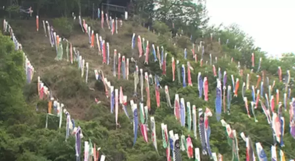 群馬・各地でにぎわい　神流町こいのぼり
