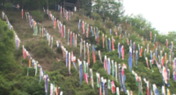 群馬・各地でにぎわい　神流町こいのぼり