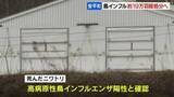 「【鳥インフル】飼育されている約19万羽の殺処分始まる　道内食肉用の3%程度　北海道安平町の養鶏場　道内発生は今シーズン4例目」の画像1