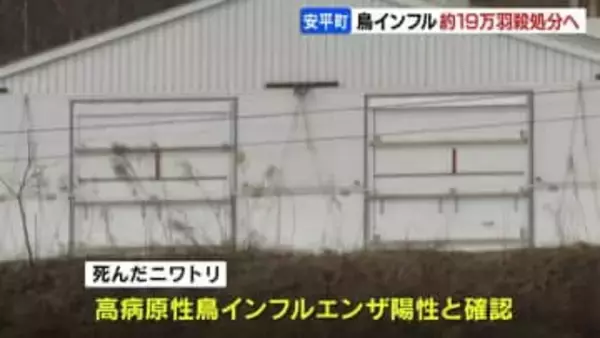 【鳥インフル】飼育されている約19万羽の殺処分始まる　道内食肉用の3%程度　北海道安平町の養鶏場　道内発生は今シーズン4例目