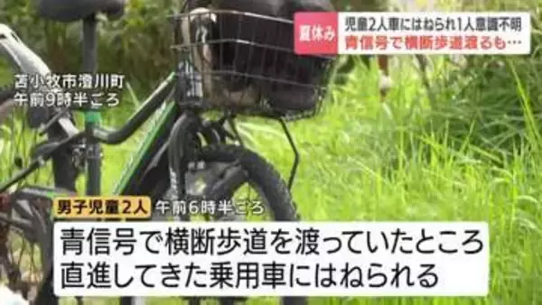 【夏休みの事故】青信号で横断歩道渡るも…男子児童2人はねられ1人重体、1人重傷か　逮捕された男「信号を見落として男の子2人をひいた」北海道苫小牧市