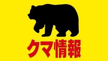 【クマ出没】トウモロコシ畑約100平方メートル食い荒らされる「畑にクマの足跡」所有者が発見し通報　現場には幅18センチほどの足跡　北海道苫小牧市