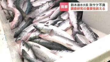 「今すぐに研究加速を」秋サケ来遊数が2025年より約47％減少の深刻な不漁予想受け　鈴木農水大臣がふ化場視察で重要性強調　北海道標津町