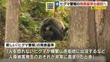 「北海道が「ヒグマ警報」の基準緩和へ　人身被害が出る前にも発表可能に　1月中にも決定する見通し」の画像1