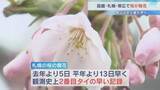 「《札幌・函館・帯広》で桜が開花　帯広では観測史上最も早い開花に　札幌は今年初めての20℃」の画像1