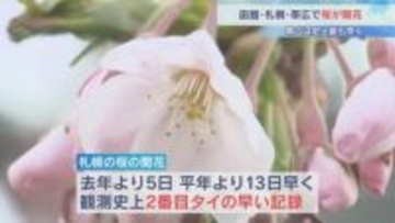 《札幌・函館・帯広》で桜が開花　帯広では観測史上最も早い開花に　札幌は今年初めての20℃