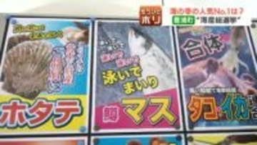 “解散”ではなく“海産”総選挙、今回もやります…4選目指すホタテに挑む新人「身を切る覚悟」のニシン、「時代をシメる」サバ、「高い知能で電撃結成」イカタコ連合、魚論調査も…北海道豊浦町