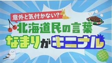 「さくらんぼ」「ようちえん」はどう発音する？意外と気づかない北海道民の独特な“なまり”東北地方をベースにしたイントネーションの魅力は“無形文化財”専門家が解説