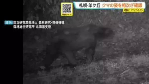 【ヒグマSOS】「夜7時と9時に続けて出没」札幌・羊ケ丘でカメラが捉えたヒグマの姿　札幌市がごみ出しルール徹底を呼びかけ