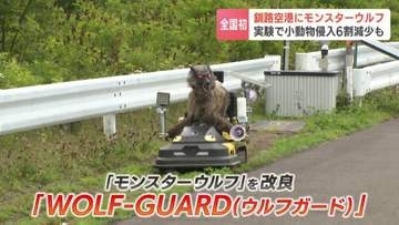 航空機の安全運航を守る“オオカミ”釧路空港にモンスターウルフ導入…実証実験で小動物侵入6割減少「威厳があって安全運航に寄与すると確信」