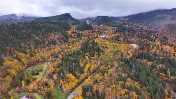 紅葉の絶景　ドローン撮影　3連休にかけてさらに色づく見込み　北海道・十勝岳温泉