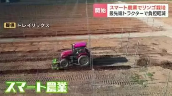 【スマート農業】最新技術で“北海道最大級”のリンゴ産地に　木を一列に植え、農薬散布などの作業負担を減　2028年秋ごろからの海外輸出も視野に　北海道共和町