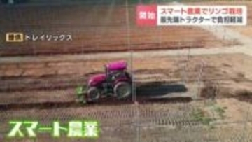 【スマート農業】最新技術で“北海道最大級”のリンゴ産地に　木を一列に植え、農薬散布などの作業負担を減　2028年秋ごろからの海外輸出も視野に　北海道共和町