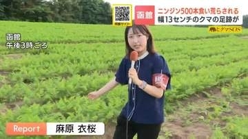 【ヒグマSOS】約500本のニンジン食い荒らされる　周辺にはフンや幅約13センチの足跡も　周辺のトウモロコシ畑も被害　北海道函館市