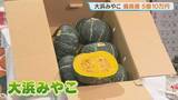 「札幌特産のブランドカボチャ「大浜みやこ」の初競り　2021年に並んで過去最高値、5個10万円　ホクホクとした食感と豊かな甘みが特長」の画像1