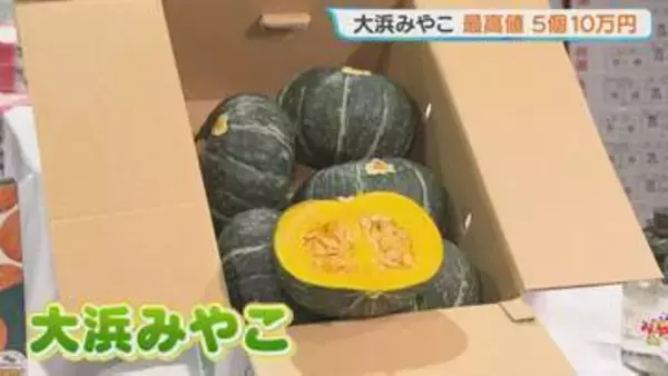 札幌特産のブランドカボチャ「大浜みやこ」の初競り　2021年に並んで過去最高値、5個10万円　ホクホクとした食感と豊かな甘みが特長