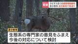 「ラピダス関連10社進出の美沢地区について苫小牧市“倉庫など建設可”方針見直す「希少鳥類の生息に影響を及ぼすおそれ」野鳥の会などの声を受け」の画像1