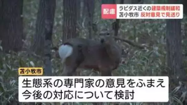 ラピダス関連10社進出の美沢地区について苫小牧市“倉庫など建設可”方針見直す「希少鳥類の生息に影響を及ぼすおそれ」野鳥の会などの声を受け