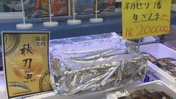 スーパー店頭でサンマ１匹20万円也⁉買い物客「どなたが買うのかな？」初競りで史上最高値１キロ111万2000円で落札　札幌市中央卸売市場