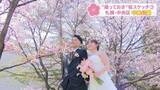 「【撮っておきの桜】母娘・ウェディング・人生初めての春”桜の情景”をHBCカメラマンがスケッチ　第3回「中島公園」札幌・中央区」の画像1