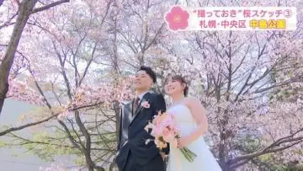 【撮っておきの桜】母娘・ウェディング・人生初めての春”桜の情景”をHBCカメラマンがスケッチ　第3回「中島公園」札幌・中央区