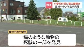 猫とみられる頭部  小学生が発見 公園のすぐそばの路上　動物愛護法違反の疑いで捜査　北海道岩見沢