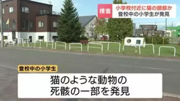 猫とみられる頭部  小学生が発見 公園のすぐそばの路上　動物愛護法違反の疑いで捜査　北海道岩見沢