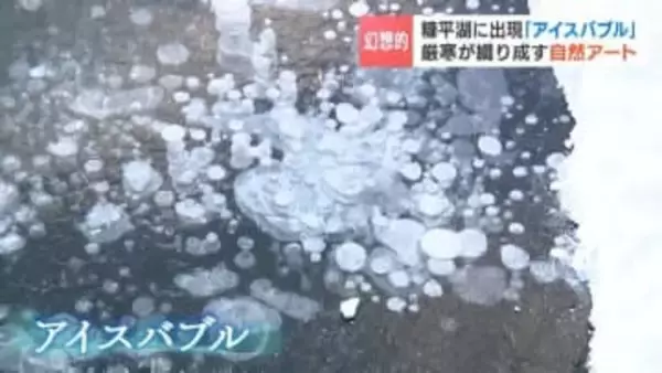 【冬の芸術】湖を覆う氷に閉じ込められた気泡「アイスバブル」　切り株の上に氷塊「キノコ氷」　厳しい寒さが作り出す自然のアートにガイドツアー客が歓喜　北海道上士幌町・糠平湖