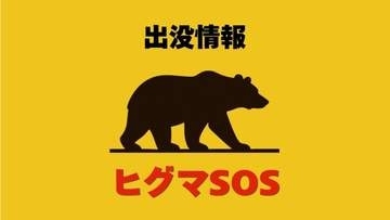 【ヒグマSOS】乗用車がクマと衝突　けが人なし　クマは立ち去る　北海道芦別市の道道