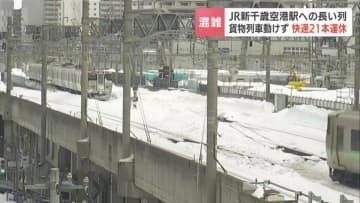 【混乱】快速エアポート21本運休で空港は大行列  貨物列車動けずでダイヤ混乱、原因は「手動ブレーキの解除忘れ」