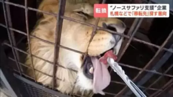 “ノースサファリ”支援企業の計画が白紙に　住民などと協議し、新たな移転先用地の確保目指す　キャンプ施設などを模索