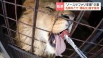 “ノースサファリ”支援企業の計画が白紙に　住民などと協議し、新たな移転先用地の確保目指す　キャンプ施設などを模索