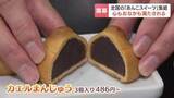 「飲むあんこに、カエルのマリトッツォ！？大丸札幌店で「あんこぱらだいす。」が開幕　正統派＆進化系あんこスイーツが全国から集結」の画像1