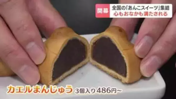 飲むあんこに、カエルのマリトッツォ！？大丸札幌店で「あんこぱらだいす。」が開幕　正統派＆進化系あんこスイーツが全国から集結