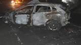 「乗用車とトレーラーの正面衝突 乗用車に乗っていた男女2人死亡 幼い子どもも重傷か 北海道苫小牧市」の画像1