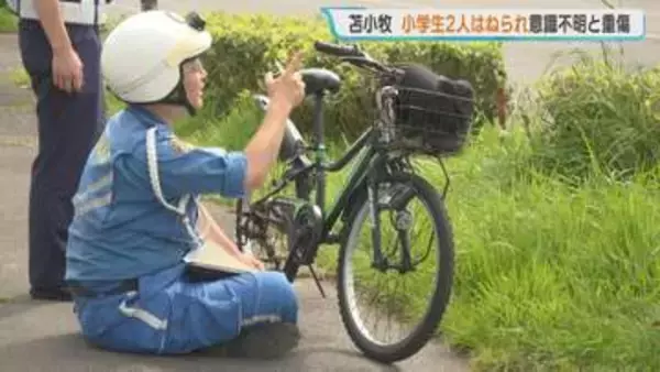 小学生の男子児童2人、乗用車にはねられる　1人が意識不明、もう1人も足の骨を折る重傷か　車の運転手「横断歩道の信号を見落として…」と通報　北海道苫小牧市