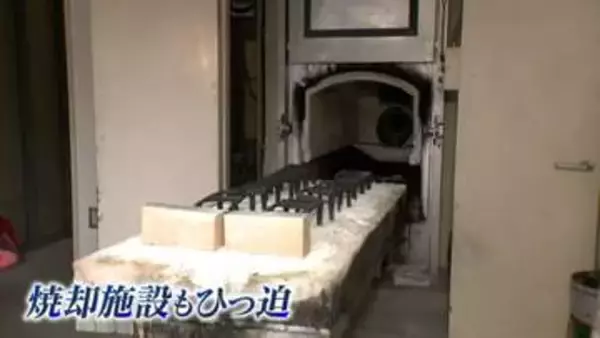 「クマ1頭の焼却に灯油100リットル　駆除数17倍で1シーズン7000リットル以上使用した施設も…処理に追われる自治体　料理人はフレンチの技で“命の循環”【2025年度　話題の記事】」の画像