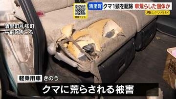 清里町でクマ１頭を駆除　車を荒らした個体か