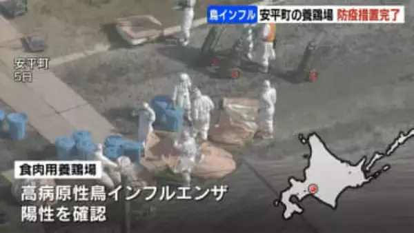 安平町鳥インフルエンザ　防疫措置が完了