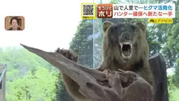 【ヒグマSOS】250キロ超の“メタボヒグマ”も出現　北海道で急増するクマ被害、新時代の『ハンタービジネス』とは？