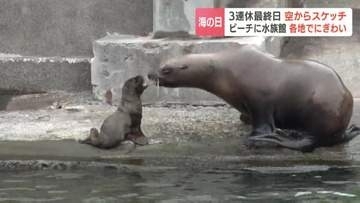 3連休最終日「海の日」最高気温25.1℃の石狩のビーチにぎわう、おたる水族館はトドの赤ちゃんが人気、ていねプールは子どもたちが思いっきり水浴び