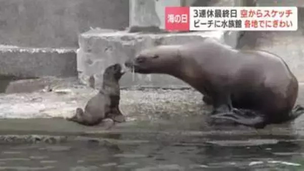 3連休最終日「海の日」最高気温25.1℃の石狩のビーチにぎわう、おたる水族館はトドの赤ちゃんが人気、ていねプールは子どもたちが思いっきり水浴び