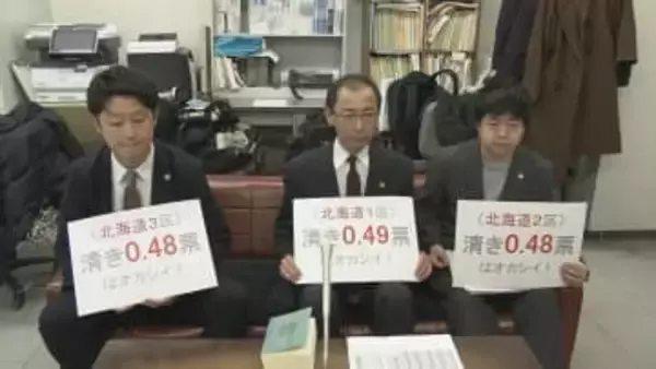 北海道3区の1票は鳥取1区の0.48票分「一票の格差」は憲法違反　弁護士グループが衆院選の無効を訴える　札幌高裁