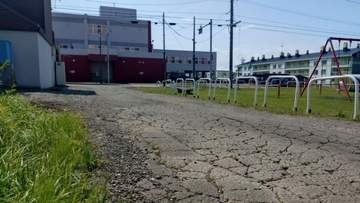 路上で猫の頭部とみられる死骸が見つかる　故意に切断か…警察が動物愛護法違反の疑いもあるとみて捜査　北海道岩見沢市
