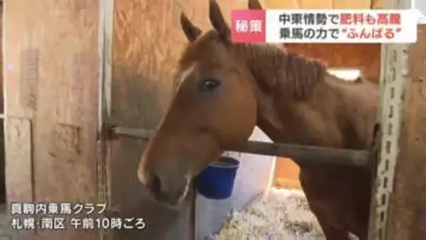 化学肥料 大幅値上げで“馬ふん”が救世主？乗馬クラブが毎日600キロ出る馬ふんなどを「無償提供」処分費に悩むクラブと肥料高騰に苦しむ農家の温かい助け合いなるか