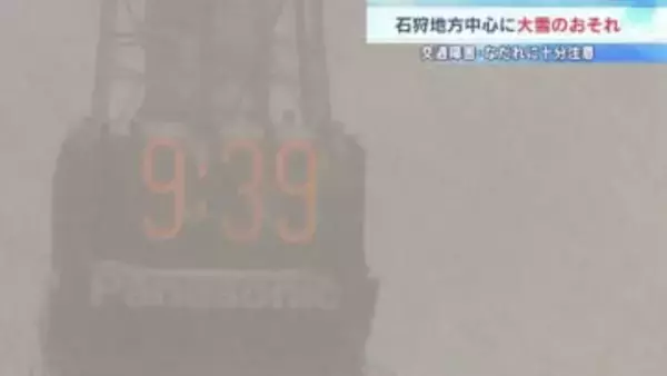 【雪情報】札幌で24時間降雪量20センチを観測　JRは特急・エアポートなど300本超が運休  2月1日にかけても大雪警戒