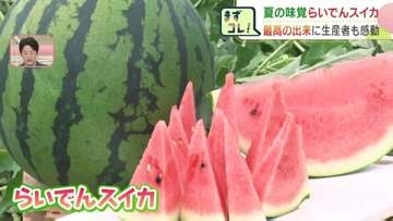 「めっちゃ甘い」ブランドスイカ『らいでんスイカ』の収穫始まる　天候に恵まれ甘さも十分　9日札幌の市場で初競りへ　北海道共和町