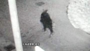 夜の住宅街を歩く体長約1.5mのクマがカメラに映る「画像を見てみるとクマが映っていた」その後の目撃情報はなし 警察が付近警戒 北海道士別市