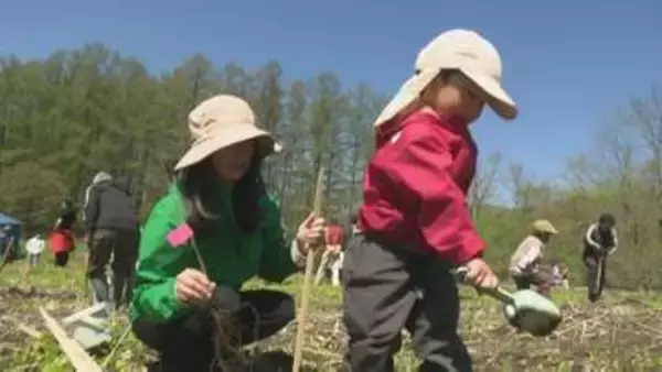 未来のために…「旭川家具」の職人らが広葉樹のミズナラを植樹　北海道東川町